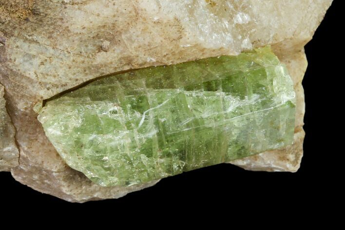 Yellow-Green Fluorapatite Crystal in Calcite - Ontario, Canada #137110